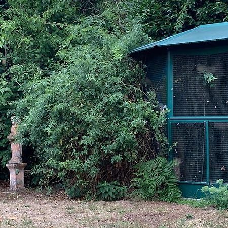 Maisonnette En Clairiere De Foret Gambais Exterior photo