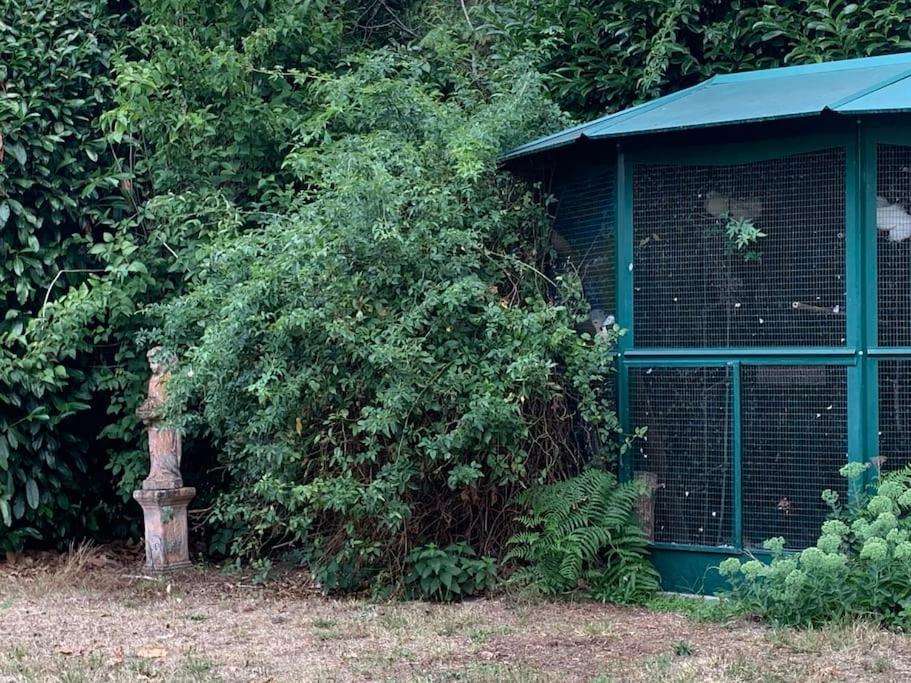 Maisonnette En Clairiere De Foret Gambais Exterior photo