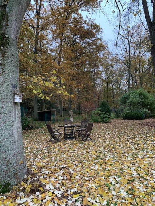 Maisonnette En Clairiere De Foret Gambais Exterior photo