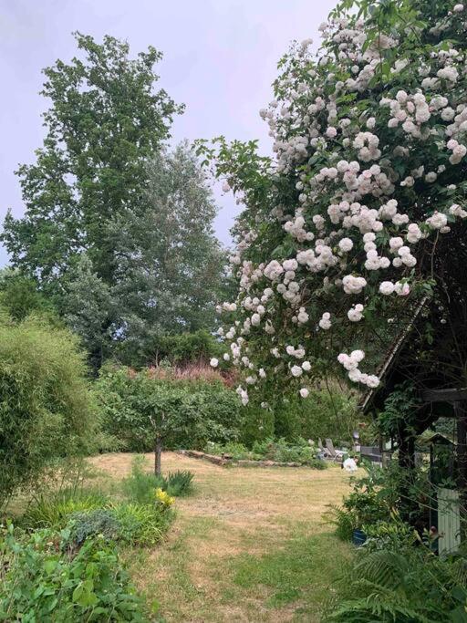 Maisonnette En Clairiere De Foret Gambais Exterior photo