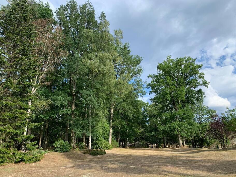 Maisonnette En Clairiere De Foret Gambais Exterior photo